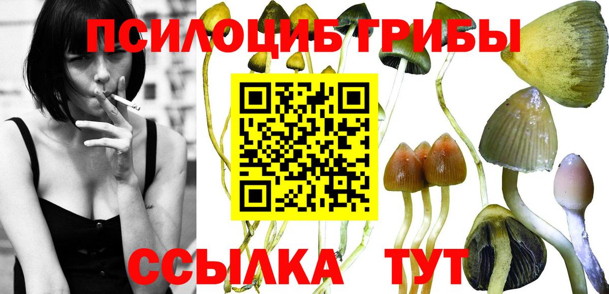 Псилоцибиновые грибы ЛСД  Вход с VPN  Клин  Псилоцибиновые грибы Cubensis 