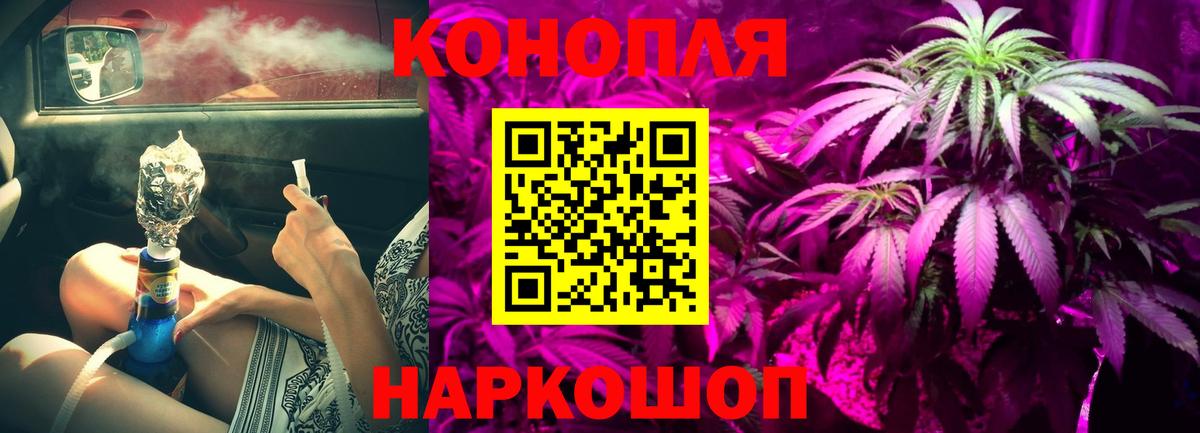 Конопля планчик  Канабис сатива  Вход с VPN  Клин  Канабис Bruce Banner 